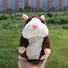 Load image into Gallery viewer, Talking Hamster Plush Toy