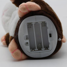 Load image into Gallery viewer, Talking Hamster Plush Toy
