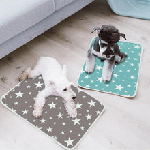 Load image into Gallery viewer, Washable Dog Pee Pad
